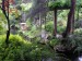 503-Hřebčinec Kildare-Japonské zahrady.JPG